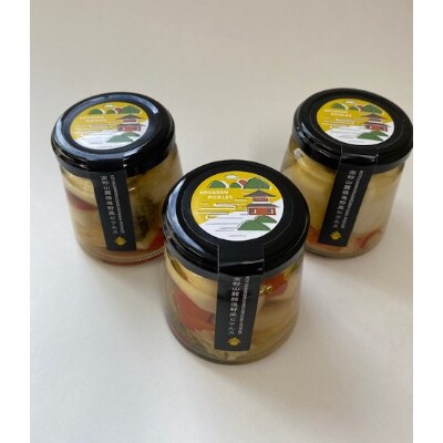 高野山麓精進野菜ピクルス【昆布だし味】3本セット