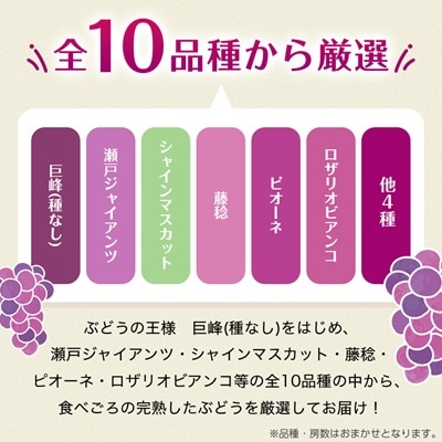 【2026年・発送】朝どり完熟ぶどうの詰め合わせ