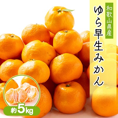 和歌山の早生みかん　ゆら早生(大きさ不揃い)　約5kg
