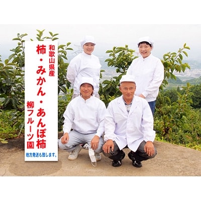 柳フルーツ園の干し柿 セット