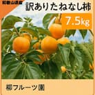 柳フルーツ園の訳ありたねなし柿7.5kg