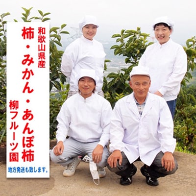 【あんぽ柿】柳フルーツ園の「紀州手作り　あんぽ柿」30個入り