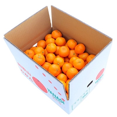 柳フルーツ園の みかん　5kg