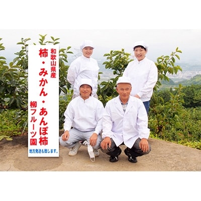 柳フルーツ園の みかん　5kg