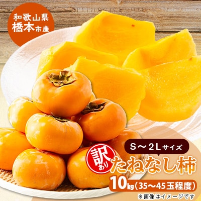 柿【先行受付】柳フルーツ園の訳ありたねなし柿　10kg | ふるさと納税のお礼品