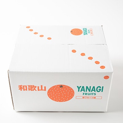 柿【先行受付】柳フルーツ園の訳ありたねなし柿　10kg