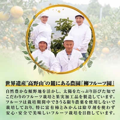 柿【先行受付】柳フルーツ園(訳あり)たねなし柿 約10kg