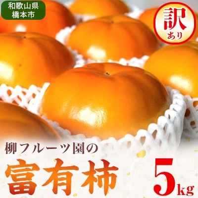 柳フルーツ園の訳あり富有柿　5kg