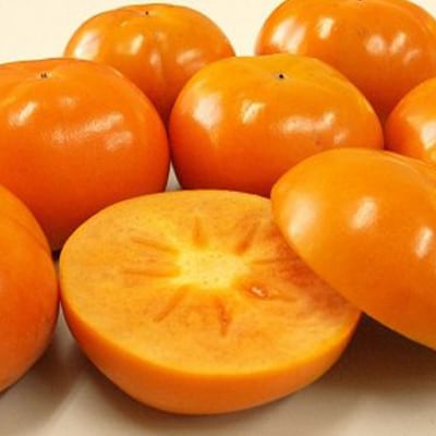 柳フルーツ園の訳あり富有柿　5kg