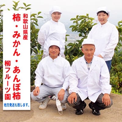 柳フルーツ園の訳あり富有柿　5kg