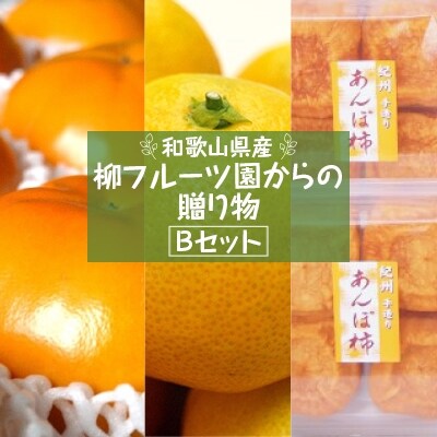 柳フルーツ園からの贈り物 Bセット