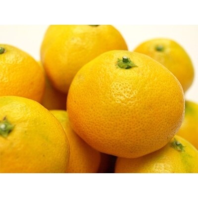 柳フルーツ園からの贈り物 Bセット