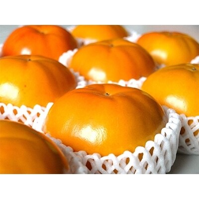 柳フルーツ園からの贈り物 Bセット
