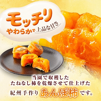 あんぽ柿【先行受付】柳フルーツ園「紀州手作り　あんぽ柿」16個入り