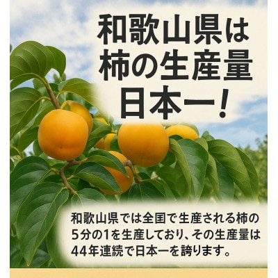 柳フルーツ園の「紀州手作り　あんぽ柿」16個入り(4個入り×4パック)