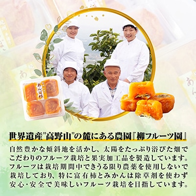 あんぽ柿【先行受付】柳フルーツ園「紀州手作り　あんぽ柿」16個入り