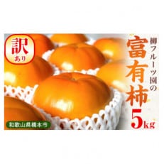 柳フルーツ園の訳あり富有柿 約5kg