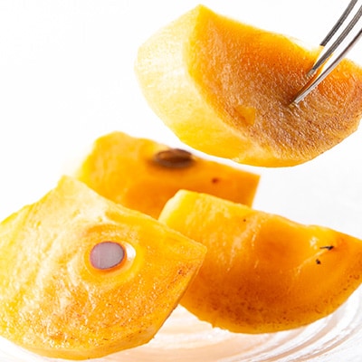 【先行予約】訳あり富有柿 約5kg　柳フルーツ園　2026年10月以降配送