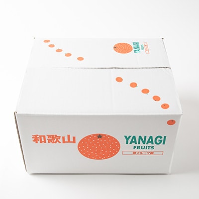 【先行予約】訳あり富有柿 約5kg　柳フルーツ園　2026年10月以降配送