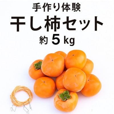 柳フルーツ園の干し柿セット 約5kg