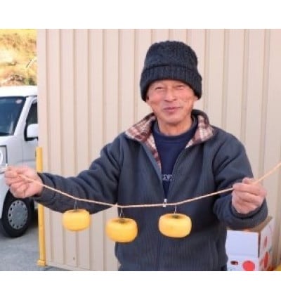柳フルーツ園の干し柿セット 約5kg