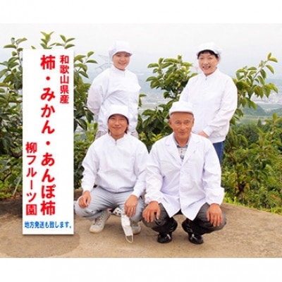 干し柿作成セット たねなし柿 [L~2Lサイズ20個] 柳フルーツ園