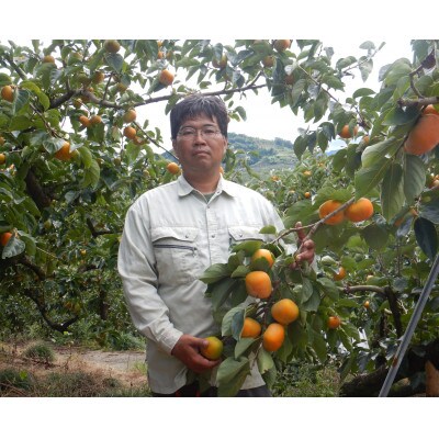 【高野山麓園直送】秋の味覚「富有柿」 9～10玉入り
