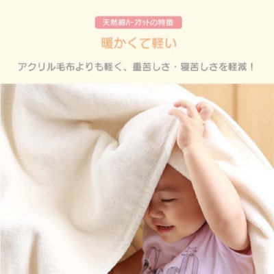 【同色2枚セット】【訳あり】 ひざ掛け  大判 ハーフケット ミルクティベージュ コットン100%
