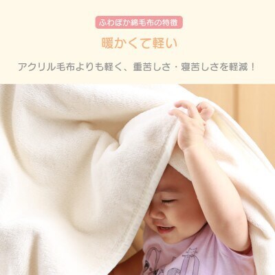 【同色2枚セット】ふわぽか 綿毛布 ピンク 100×140cm 日本製 綿100% 毛布