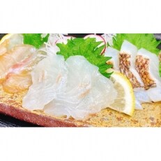 【紀州魚彩】旨味をぎゅっと凝縮した塩熟真鯛・炙り・漬け食べ比べセット(1食個包装)×3食ずつ