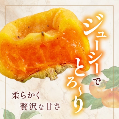 名産　おかもとのあんぽ柿　18個(3個入り×6パック)