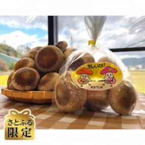 【さとふる限定】生しいたけ 1kg(200g×5袋)
