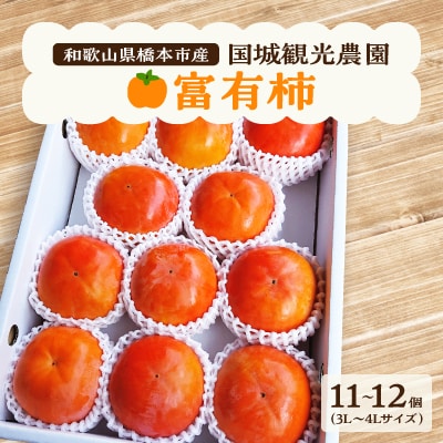 国城観光農園の富有柿11～12個(3～4L)