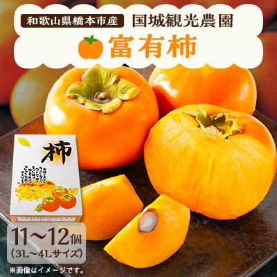 国城観光農園の富有柿11~12個(3~4L)