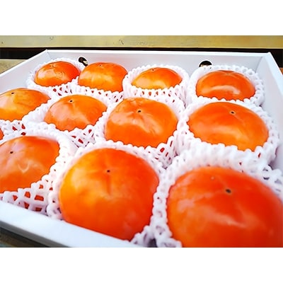 国城観光農園の富有柿12個入(2Lサイズ)
