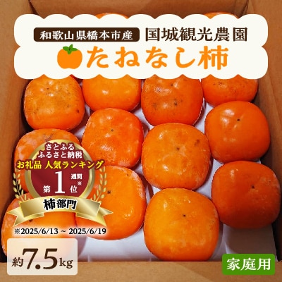国城観光農園のたねなし柿(家庭用・訳あり)約7.5kg