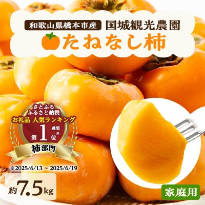 【2026年度発送分】国城観光農園のたねなし柿(家庭用・訳あり)約7.5kg