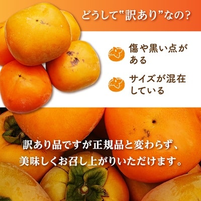 国城観光農園のたねなし柿(家庭用・訳あり)約7.5kg
