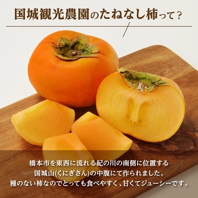 国城観光農園のたねなし柿(家庭用・訳あり)約7.5kg