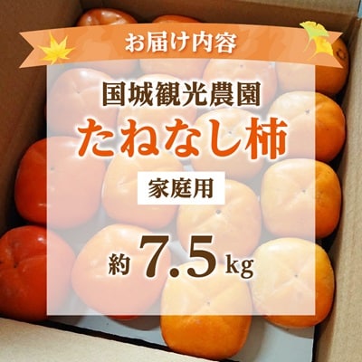 国城観光農園のたねなし柿(家庭用・訳あり)約7.5kg