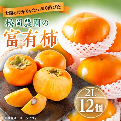 太陽の光をたっぷり浴びた松岡農園の富有柿(2L　12個)