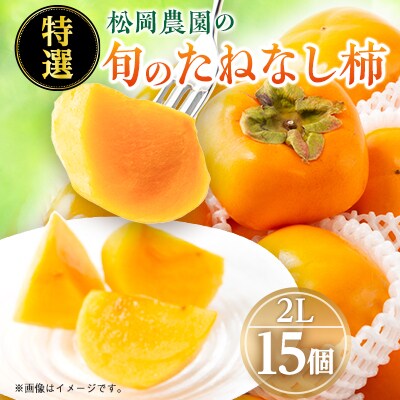 【2026年秋より順次発送】旬のたねなし柿　特選2Lサイズ(15個入り)
