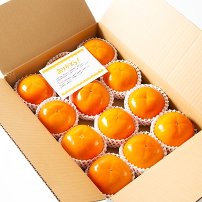 和歌山県産　美濃農園の富有柿　12個(2Lサイズ程度)