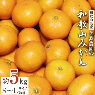 和歌山県産　美濃農園の和歌山みかん　約5kg