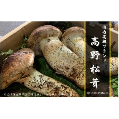 和歌山県産 美味しい 松茸 200グラム - 野菜