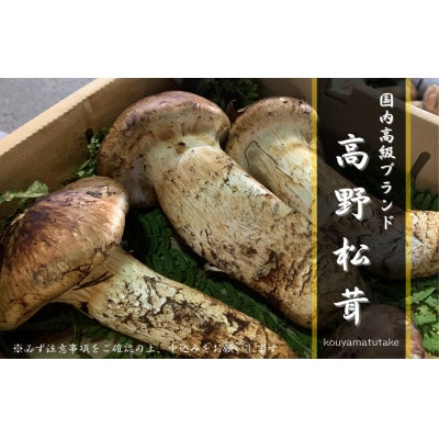 【和歌山産】～香りそのまま真空パック～高級・希少高野松茸　300g(福:★)