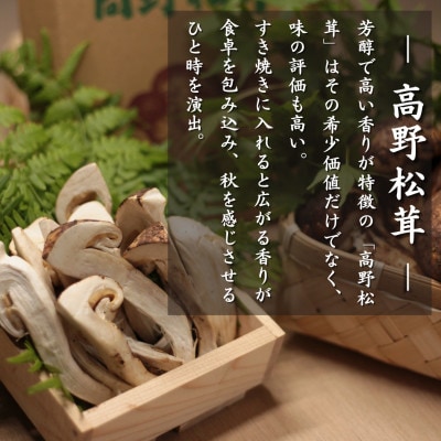 豪華食材で贅沢な『すき焼きセット』　豊かな自然に育まれた-熊野牛-　芳醇で香り高い-高野松茸-