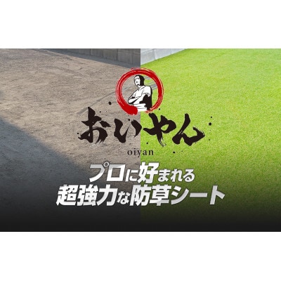 ガーデニングや庭の景観改善に使用　雑草を防ぎ草抜き作業を軽減　枯草が混じる冬の人工芝防草シート