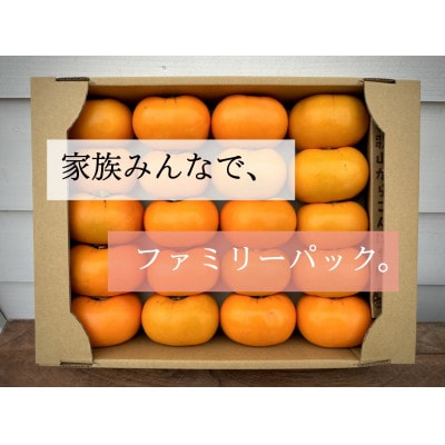 柿【先行受付】キタヤマ果樹園のたねなし柿　ファミリーパック(家庭用)15～20個入り(L～3L)