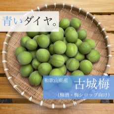 【 5月下旬より順次発送】和歌山県産希少品種 古城梅 3kg Lサイズ以上 梅酒・梅シロップに!